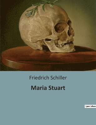 bokomslag Maria Stuart