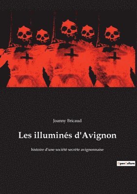 bokomslag Les illuminés d'Avignon