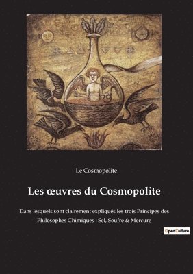bokomslag Les oeuvres du Cosmopolite