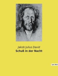 bokomslag Schuß in der Nacht