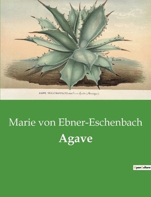 bokomslag Agave