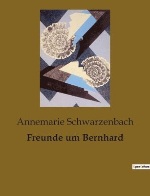 Annemarie Schwarzenbach - Freunde um Bernhard, Häftad