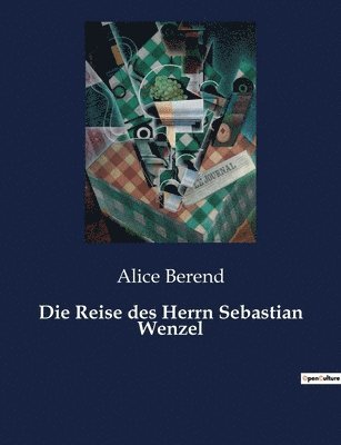 bokomslag Reise des Herrn Sebastian Wenzel