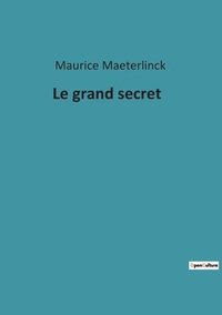 bokomslag Le grand secret