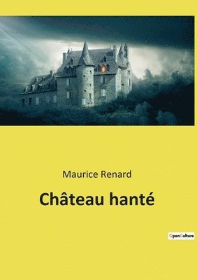 Chateau hante 1