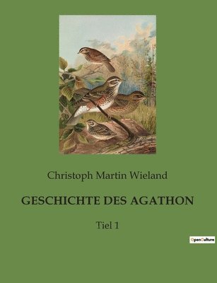 bokomslag Geschichte Des Agathon