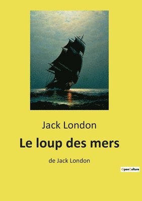 bokomslag Le loup des mers