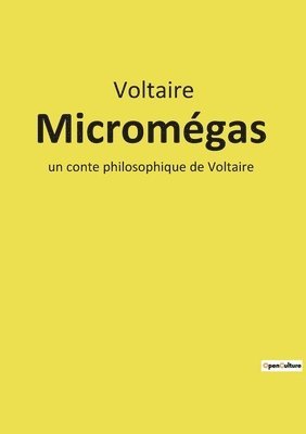 bokomslag Micromégas