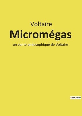 Micromegas 1