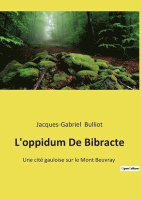 L'oppidum De Bibracte 1