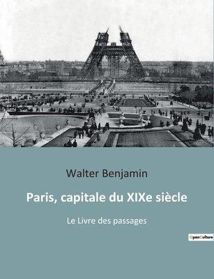 bokomslag Paris, capitale du XIXe siècle