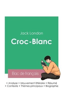 bokomslag Réussir son Bac de français 2023