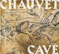 bokomslag Chauvet Cave