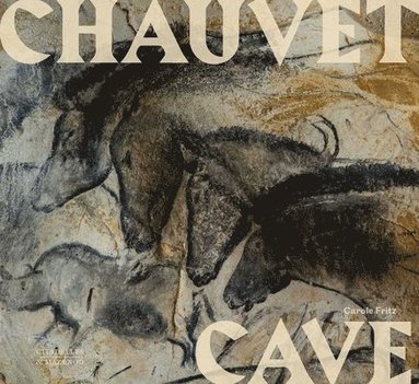 bokomslag Chauvet Cave