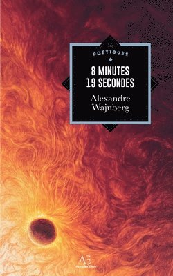 bokomslag 8 minutes 19 secondes
