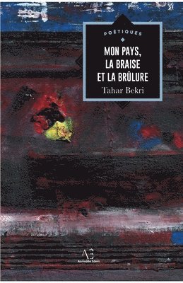 bokomslag Mon pays, la braise et la brûlure