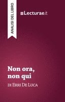 bokomslag Non ora, non qui - Erri De Luca (analisi del libro)
