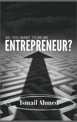 bokomslag So, You Want To Be An Entrepreneur?