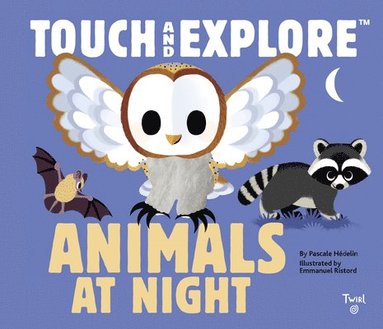 bokomslag Touch and Explore: Animals at Night