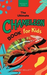 bokomslag Chameleons The Ultimate Chameleon Book for Kids