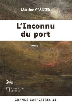 bokomslag L'Inconnu du port: Grands Caractères 18 - en coédition avec Zinédi Editions