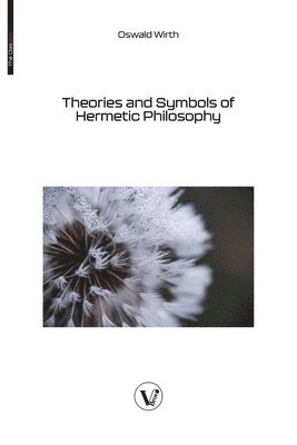 bokomslag Theories and Symbols of Hermetic Philosophy