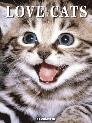 Love Cats 1