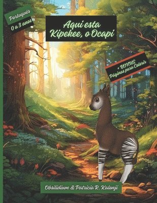 bokomslag Aqui está Kipekee, o Ocapi
