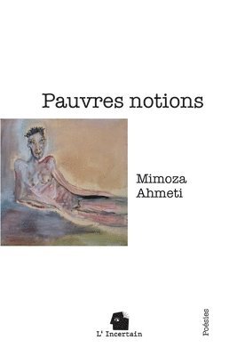 bokomslag Pauvres notions