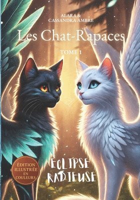 bokomslag Éclipse Radieuse