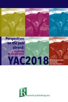 Sandra Salin, Damien Hall, Cathy Hampton - Perspectives on the year abroad, Häftad