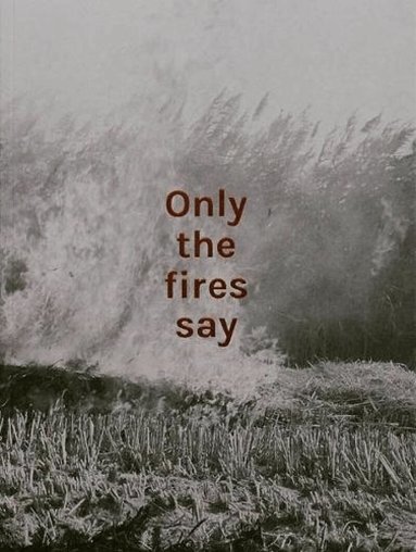 Alan Eglinton - Only the fires say, Häftad
