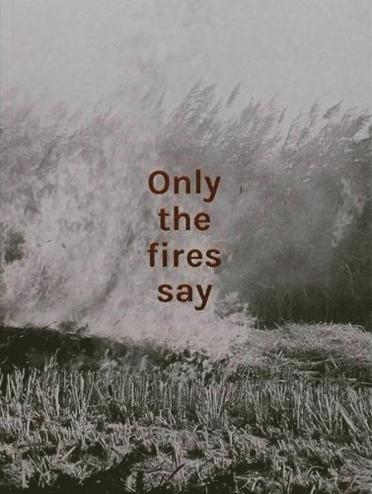 Only the fires say 1