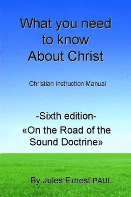 bokomslag What you need to know about Christ: Making a journey with the Risen Jesus Christ