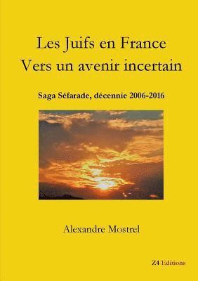 bokomslag Les Juifs en France Vers un avenir incertain