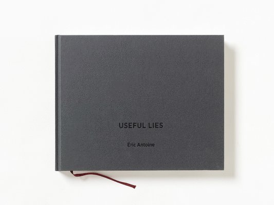 Useful Lies 1