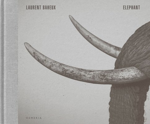 Laurent Baheux - Elephant, Inbunden