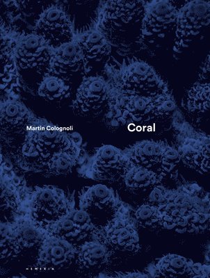 bokomslag Coral