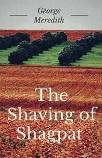 bokomslag Shaving of Shagpat