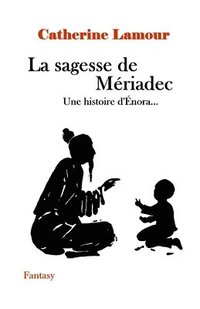bokomslag sagesse de Mériadec