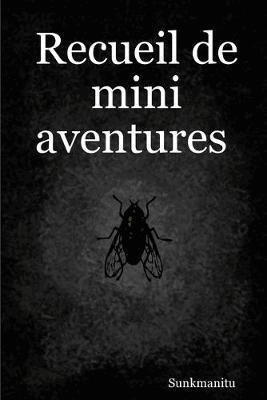 bokomslag Recueil de mini aventures