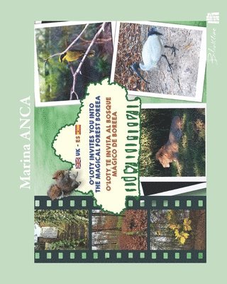 O'Loty invites you into the magical forest Boreea: O'Loty te invita al bosque mágico de Boreea