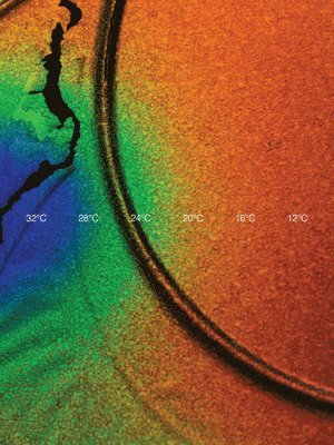 Cooper Jacoby - How do I survive?