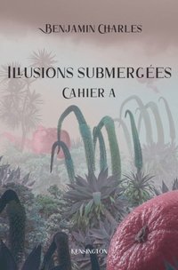 bokomslag Illusions submergées