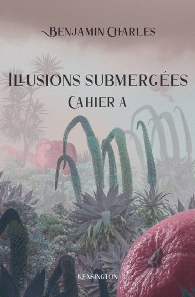 bokomslag Illusions submergées
