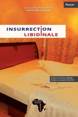 bokomslag Insurrection libidinale