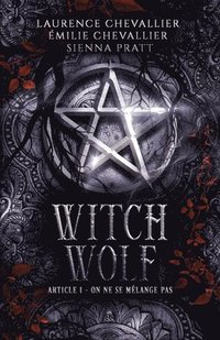 bokomslag Witch Wolf