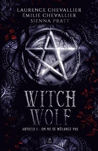 bokomslag Witch Wolf