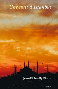 bokomslag Une nuit  Istanbul