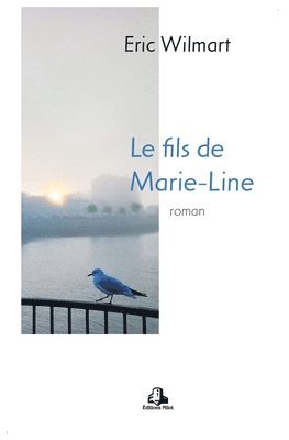 bokomslag Le fils de Marie-Line